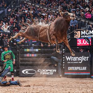 Image post by @PBR on Twitter/X