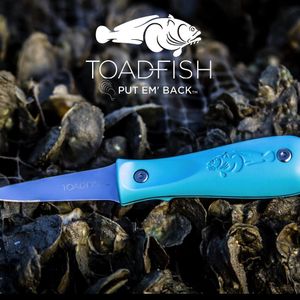 Image post by @toadfishoutfitters on Instagram