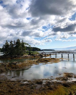 Image post by @themainemag on Instagram