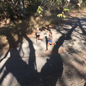 Image post by @uclaxc on Instagram