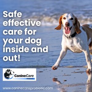 Image post by @caninecareprobiotic on Facebook
