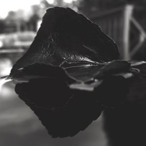 Image post by @adamschmisek on Instagram