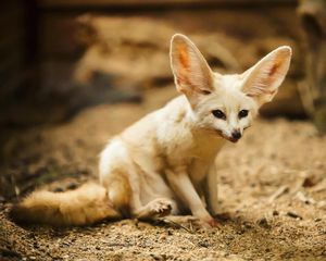 Image post by @discovery on Instagram