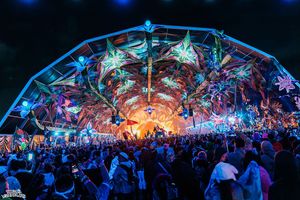 Image post by @beyondwland on Instagram