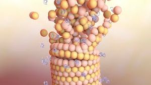 Video post by @nucleusmedicalmedia on YouTube