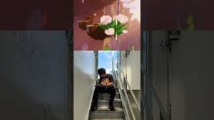 Video post by @zfromthealphabet on YouTube