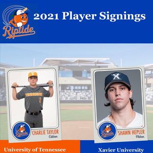 Image post by @ocriptidebaseball on Instagram