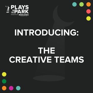 Image post by @playsintheparkedisonnj on Instagram