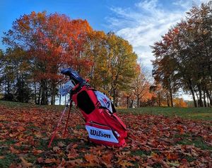 Image post by @wilsongolfcanada on Instagram
