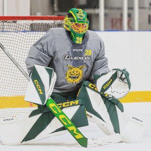Image post by @goaliegearnerd on Instagram