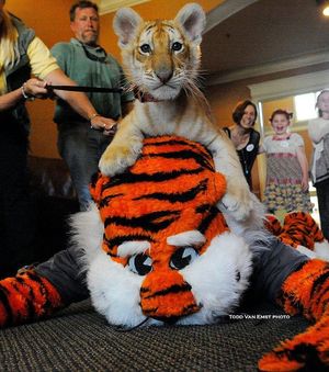 Image post by @auburnalumni on Instagram