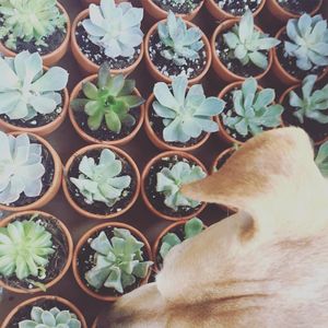 Image post by @thebloombartx on Instagram