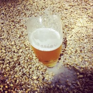 Image post by @navigationbrewingco on Instagram