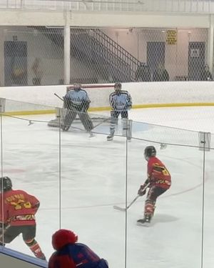 Image post by @bosak_goaltending on Instagram
