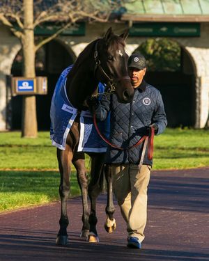 Image post by @breederscup on Instagram