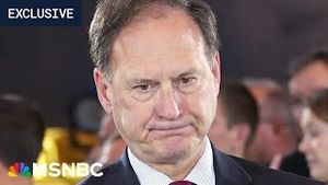 Video post by @msnbc on YouTube