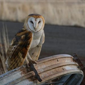 Image post by @nationalparkservice on Instagram