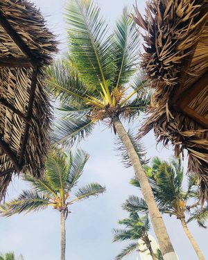 Image post by @kinikinitours on Instagram