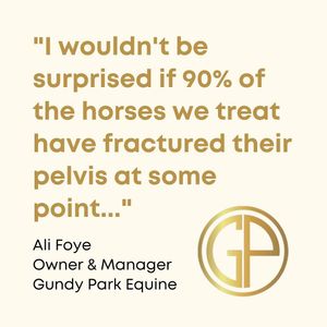Image post by @gundyparkequine on Instagram