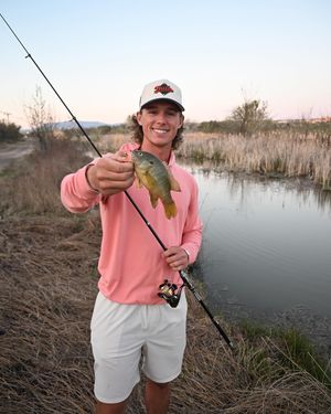 Image post by @daltonmauldin5 on Instagram