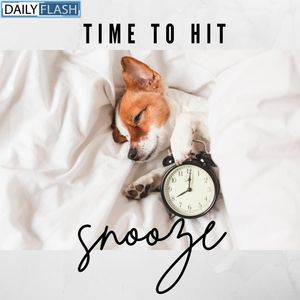 Image post by @dailyflash.tv on Instagram
