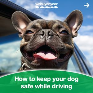 Image post by @webuyanycar on Instagram