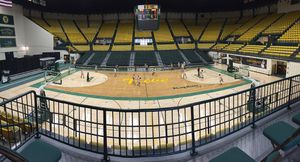 Image post by @wmtribewbb on Instagram