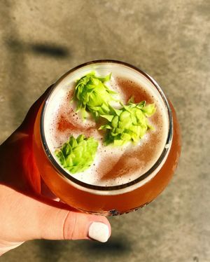 Image post by @sudwerkbrew on Instagram