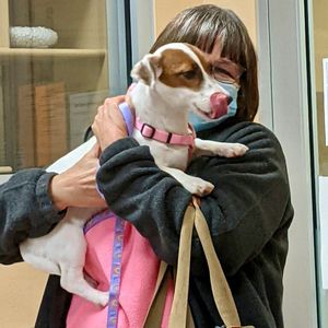 Image post by @spokhumanesoc on Instagram