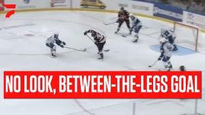 Video post by @flohockey on YouTube