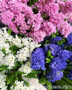 Image post by @bonita_flowers on Instagram