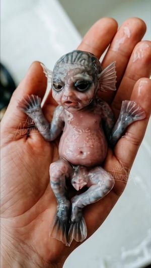Video post by @ali.aboutine on TikTok