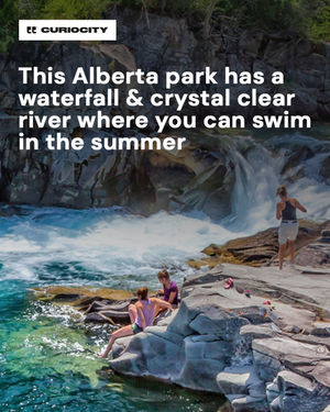 Image post by @curiocitycalgary on Instagram