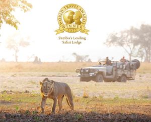 Image post by @chiawasafaris on Instagram