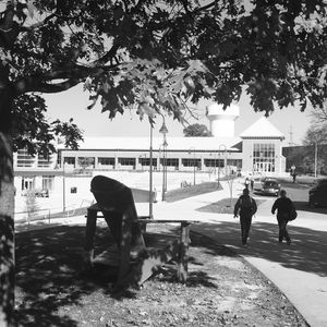 Image post by @shippensburgu on Instagram