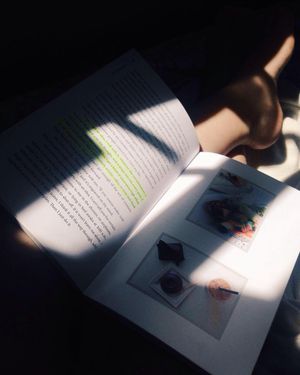 Image post by @lindsey.mccormack on Instagram