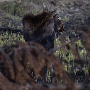 Image post by @lightboximages on Instagram