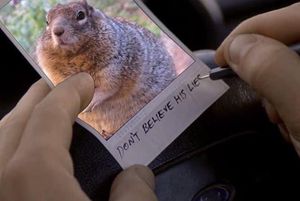 Image post by @nationalparkservice on Instagram