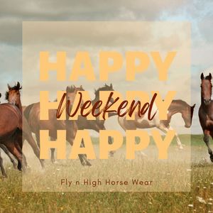 Image post by @flynhighhorsewear on Instagram