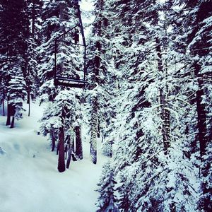Image post by @sierra_at_tahoe on Instagram