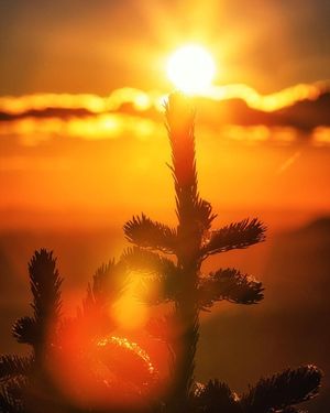 Image post by @JustinPotterPhotography on Facebook