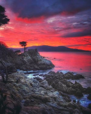 Image post by @pebblebeachresorts on Instagram