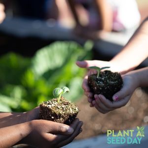 Image post by @kidsgardening on Instagram