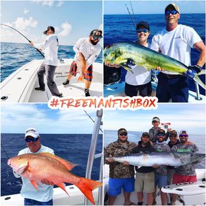 Image post by @freemanboatworks on Instagram