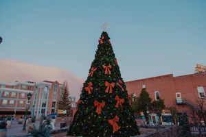 Image post by @nauflagstaff on Instagram