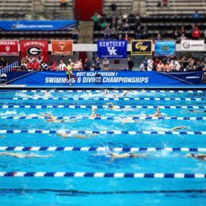 Image post by @arenausa on Instagram