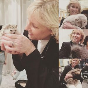 Image post by @animalplanet on Instagram