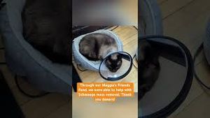 Video post by @livelikeroofoundation on YouTube
