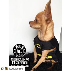 Image post by @nickyjam on Instagram
