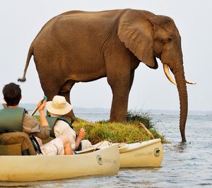 Image post by @chiawasafaris on Instagram